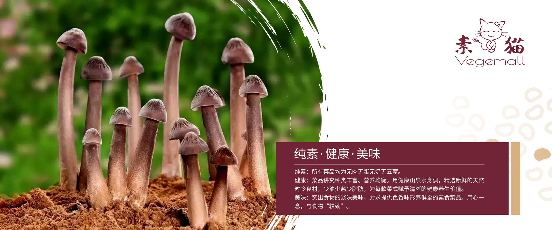 研發(fā)實(shí)力