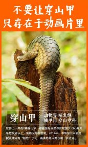 疫痛后，食野味陋習能否絕跡？