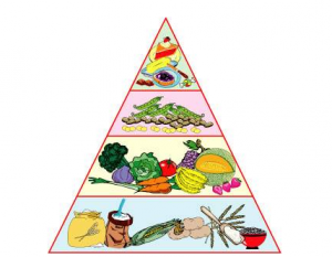 世界無肉日 | 憑什么素食比肉食健康？