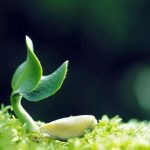 心存敬畏 行有所止 善待大自然，從一份健康的素食開始。——素貓素食