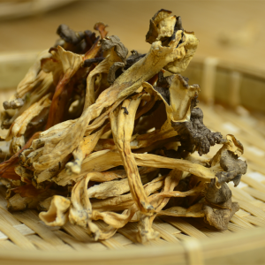 云南雞足山純野生雞油菌,世界四大名菌之一!做成美味下飯醬,你見過嗎？