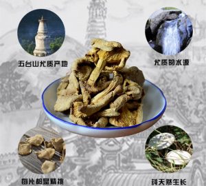 素貓私廚臺蘑菌肴|被稱為五臺山一絕的它，來頭居然這么大！