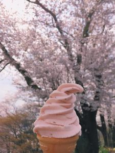 火遍長洲島的素貓櫻花味豆?jié){冰淇淋！花香味與豆?jié){味完美融合，感覺一口吃掉了整個春天